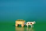 Miniatur Gespann Kastenwagen in natur mit Ochsen , Ladung: Gras Länge ca 9cm