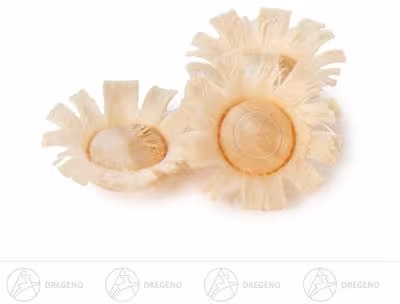 Ersatzteile Blume aus Holz Nr.4a von Dregeno, 20 Stück naturfarbene Bastelteile mit feinen