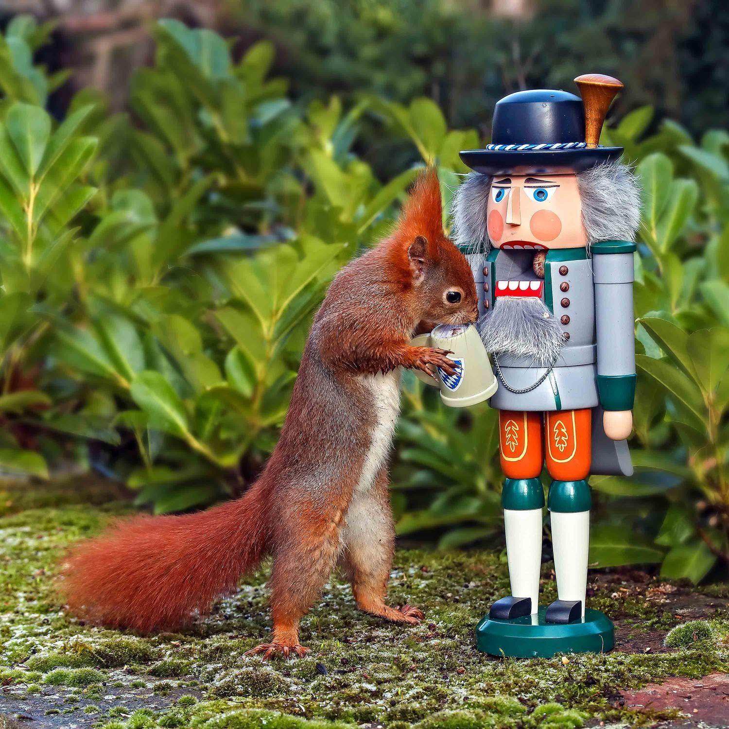 Nussknacker – detailverliebter Bayer mit Maßkrug, farbenprächtig in Blau-Weiß-Braun – BxHxT = 14 x 38 x 13 cm