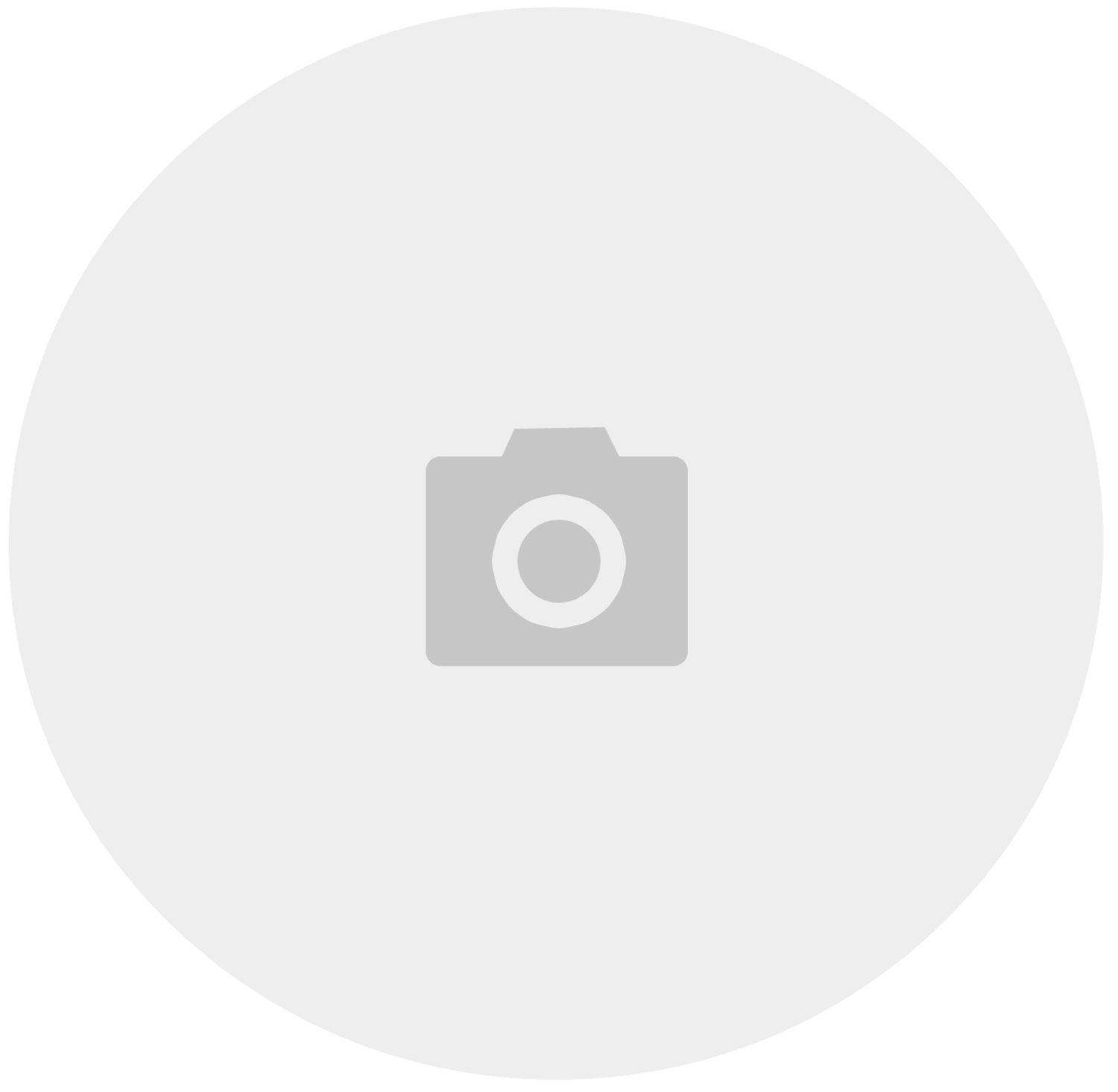 Frühlingsdekoration - Blumenstecker Vogel mit dunklem Körper, Natur (4x2x6cm) - Höhe 19cm