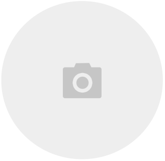 Frühlingsdekoration - Blumenstecker Vogel mit dunklem Körper, Natur (4x2x6cm) - Höhe 19cm