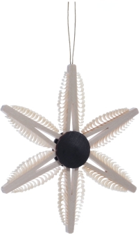 Christbaumschmuck - Spanstern mit Bäumchen Braun - BxHxT 9,5x9,5x1cm