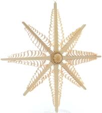 Fensterschmuck - Spanstern mit 8 B&auml;umchen - Mitte mit Rosette Beidseitig - Ansicht Links -