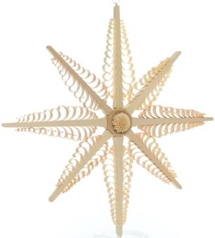 Fensterschmuck - Spanstern mit 8 Bäumchen - Mitte mit Rosette Beidseitig - Natur - BxHxT 41x41x5,5cm