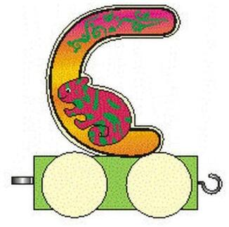 Holzzug – bunter Buchstabe C mit fröhlichem Tiermotiv Haken und Öse – BxHxT = 5 x 7 x 3 cm