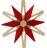 Spanstern Mitte mit Kiefernstern Rot - Ansicht Detail