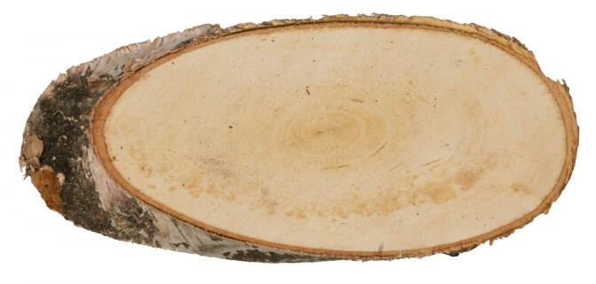 Bastelzubehör Birkenscheibe oval natur Durchmesser ca. 21-23cm Höhe 2cm